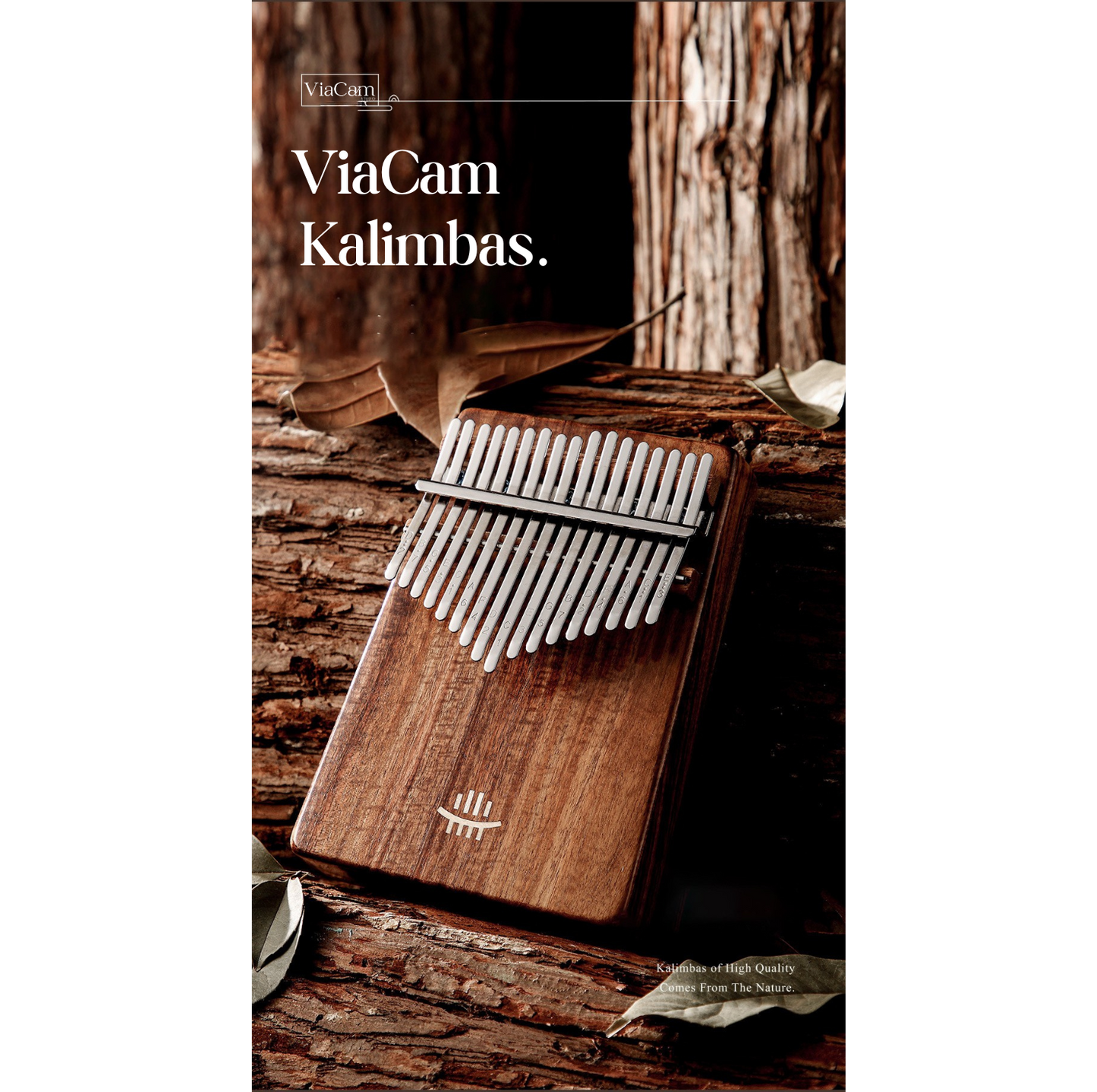 Kalimba ViaCam