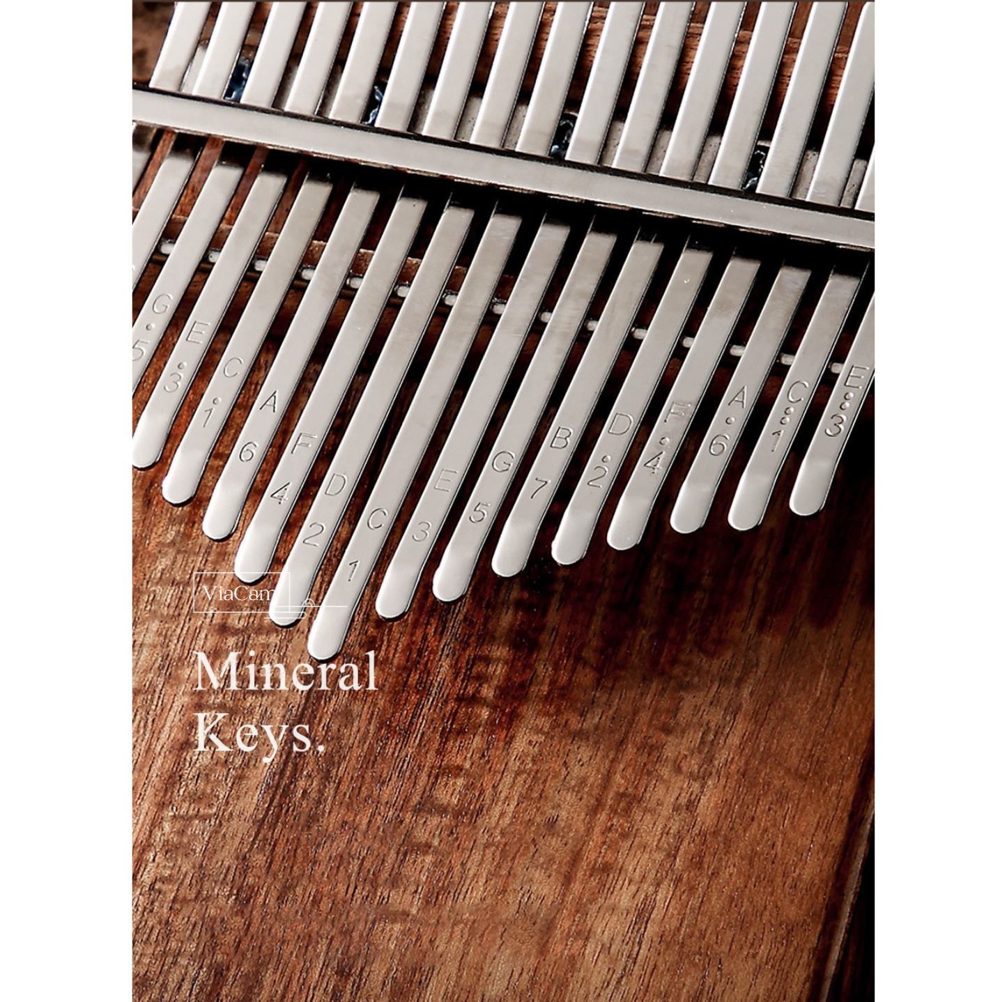 Kalimba ViaCam