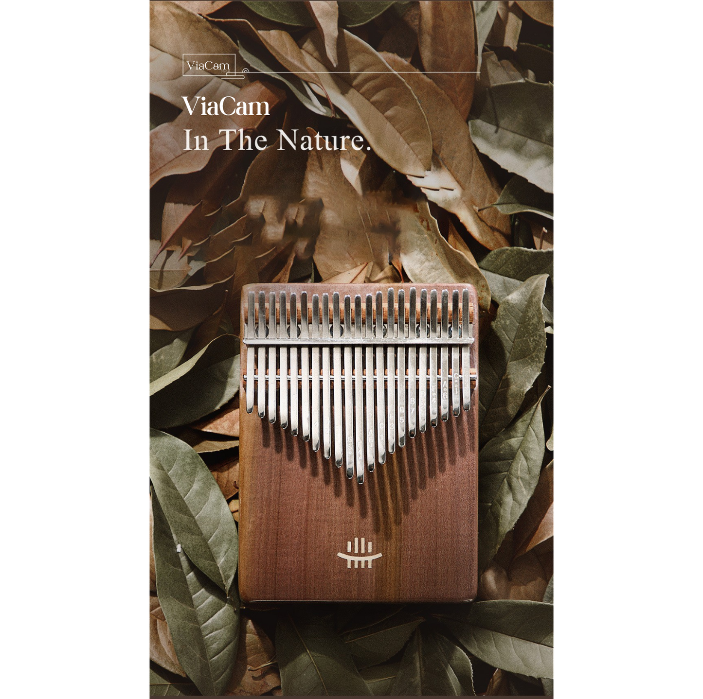 Kalimba ViaCam