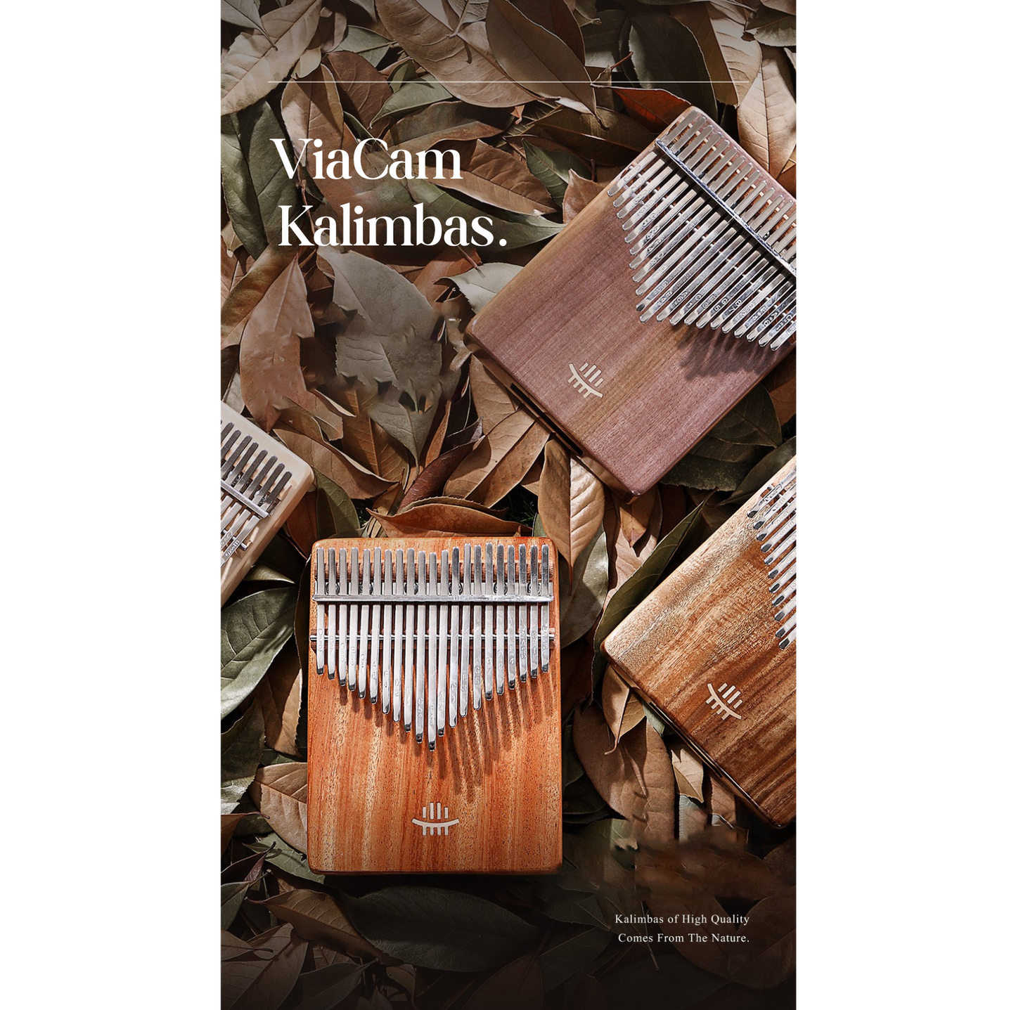 Kalimba ViaCam