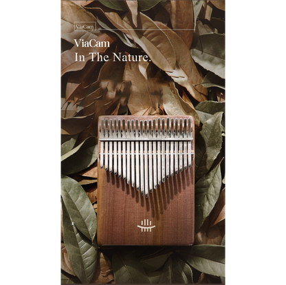 Kalimba ViaCam