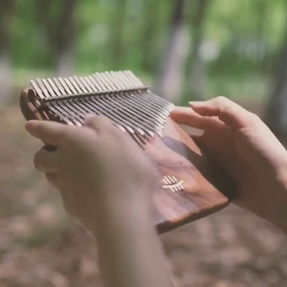 Kalimba ViaCam